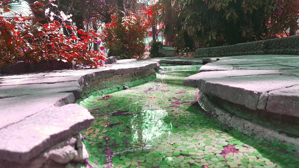 Hotel Terme Villa Piave 阿巴诺泰尔梅 外观 照片