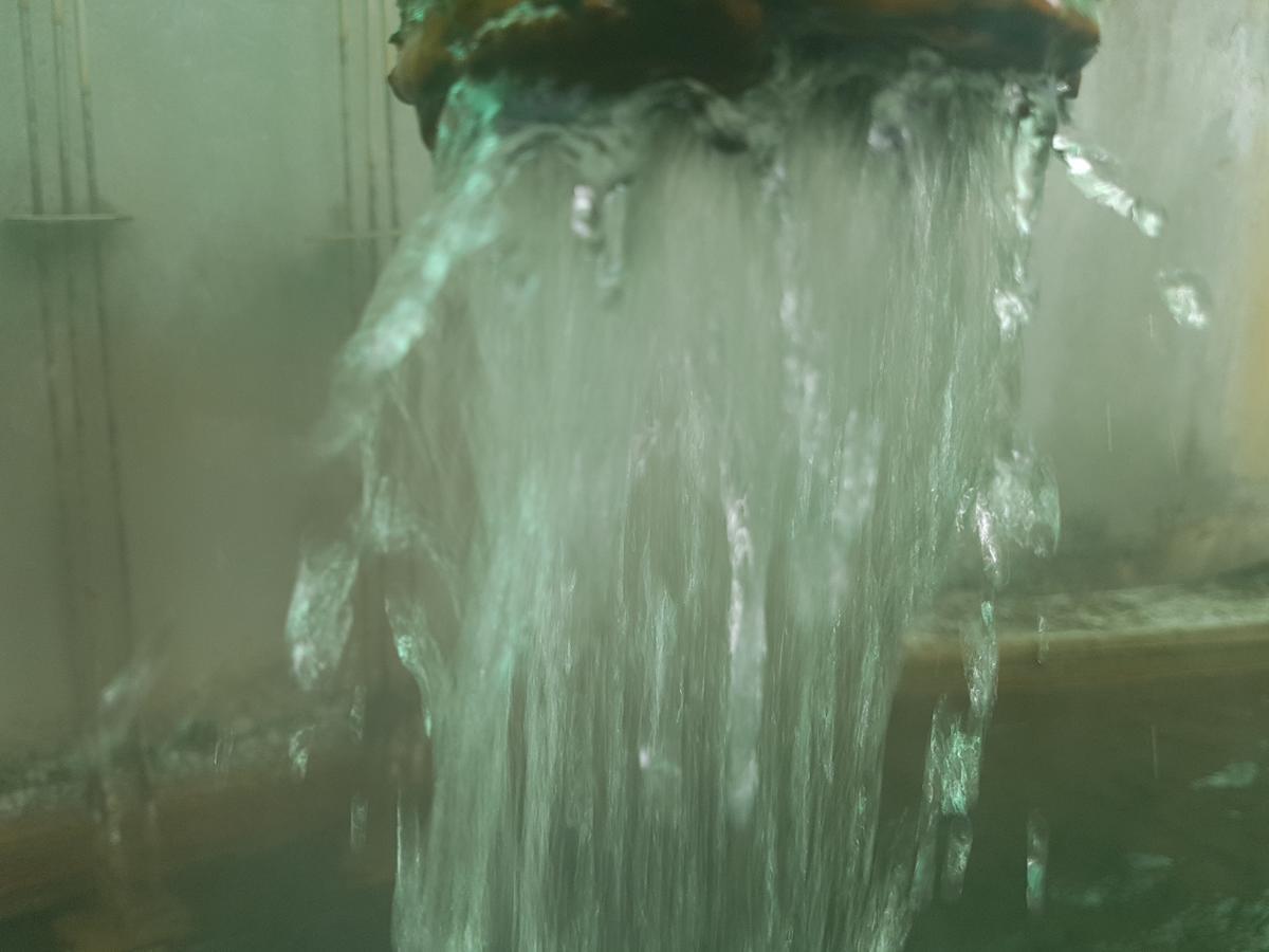 Hotel Terme Villa Piave 阿巴诺泰尔梅 外观 照片